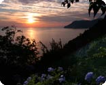 B&B Il gatto Corniglia